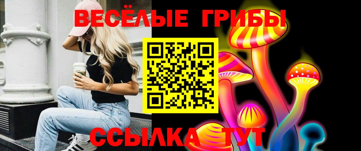 Псилоцибиновые грибы MAGIC MUSHROOMS Междуреченск